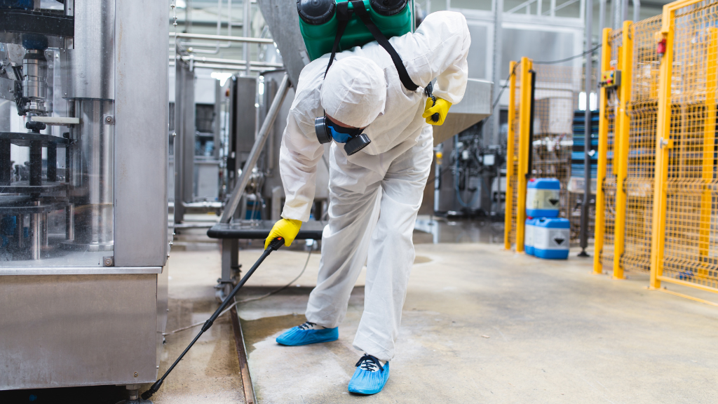 Commercial Pest Control: Essential for Health and Safety