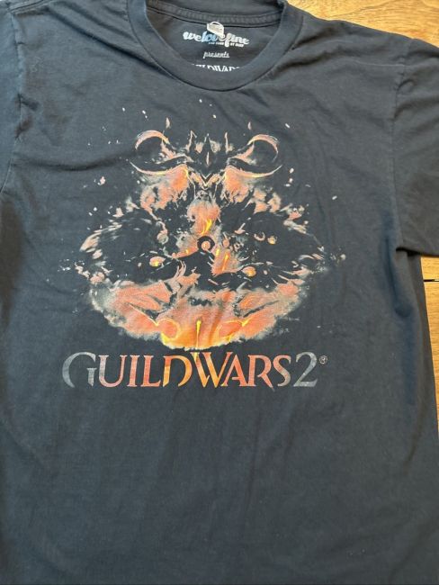 Unlocking the Secrets of Guild Wars 2 Store: Your Shopping Guide